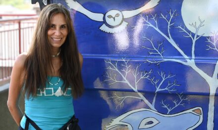WATCH NOW: Lynn Taylor, local Indigenous visual artist, tells us more about her two latest public art installations with Murals with MAC!