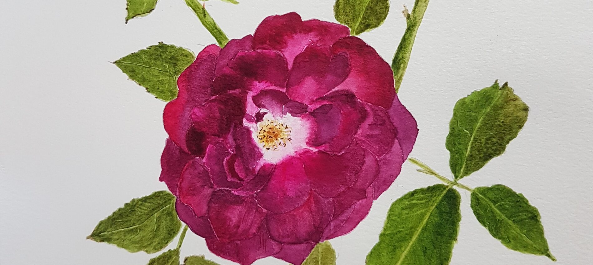 Single-rose
