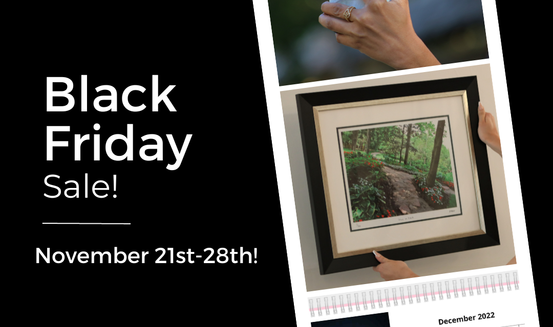 Black Friday Art Sale!