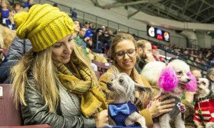 Mississauga News: Things to do in Mississauga this weekend (Nov. 4-6)