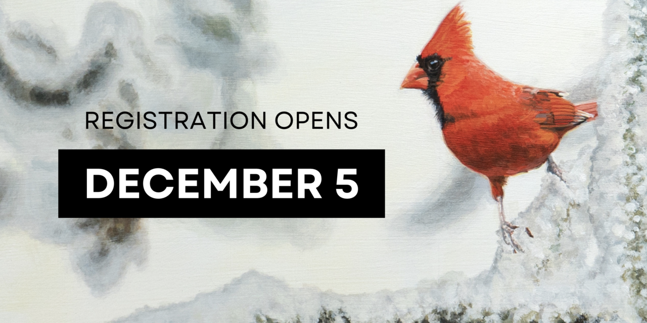 Visual Arts Mississauga’s Winter Registration is now open!