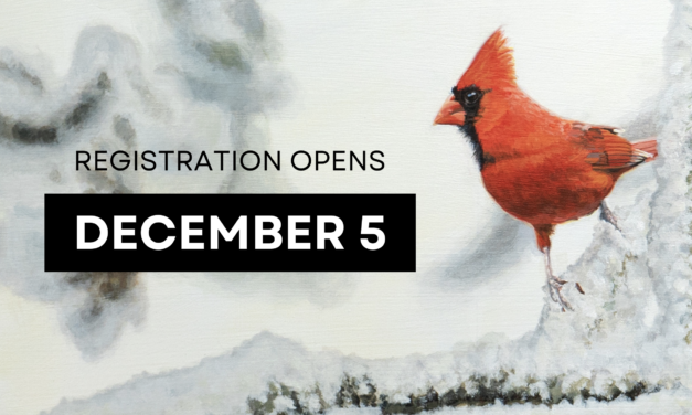 Visual Arts Mississauga’s Winter Registration is now open!
