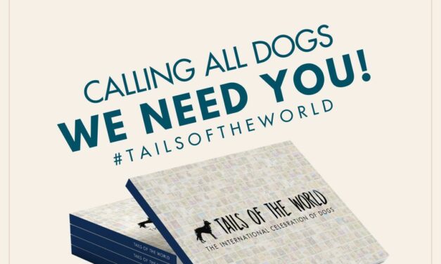 LOCAL PET PHOTOGRAPHER CALLS ON LOCAL DOGS AND ‘ADVENTURE CATS’ TO JOIN TAILS OF THE WORLD