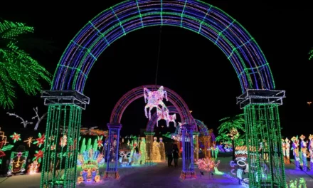 insauga: Popular festival that features 20 million lights returns for a summer run in Mississauga