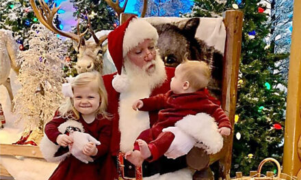 insauga: Huge Christmas fair with gifts and Santa Claus photos comes to Mississauga