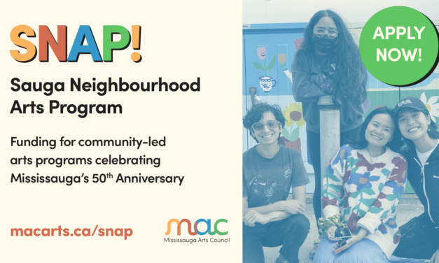Arts Groups, Festivals, Neighbourhood Associations – receive co-funding support with SNAP!