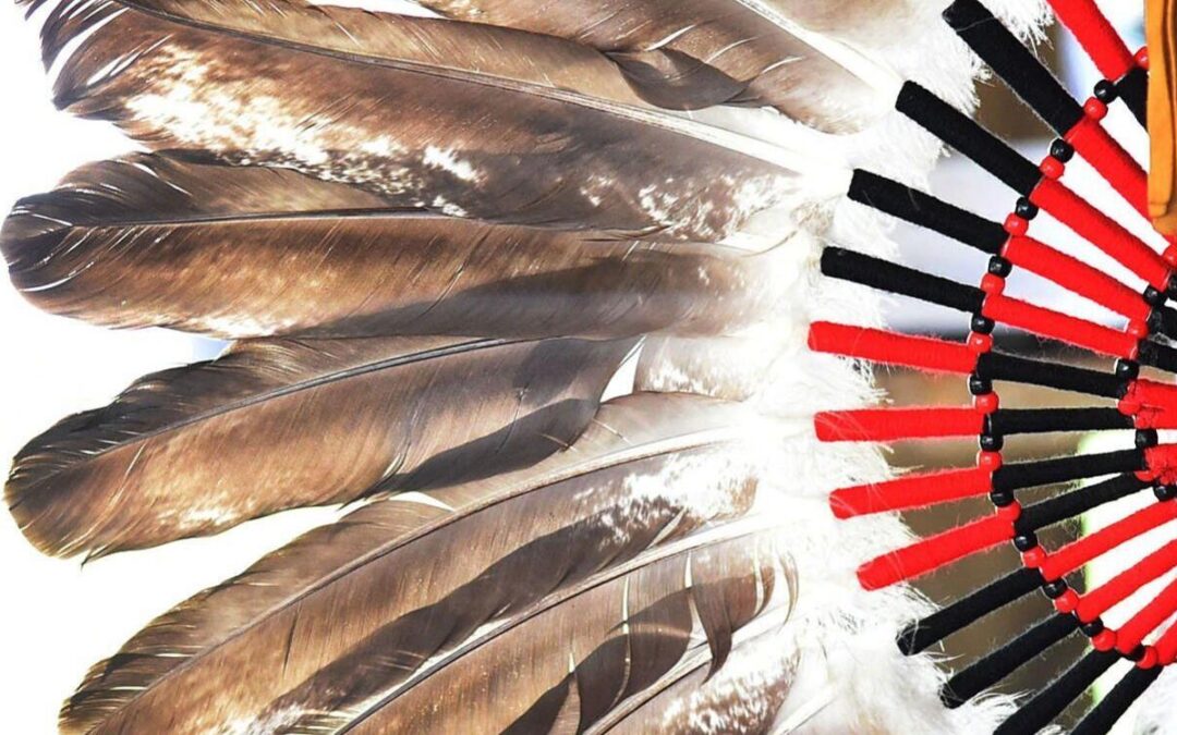 Mississauga News: Mississaugas of Scugog Island First Nation’s annual powwow shares Indigenous traditions