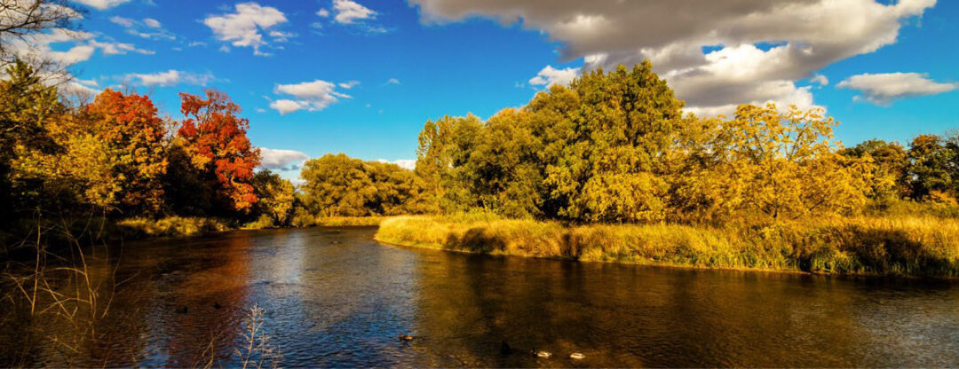 Public Art: Artist in Residence – City of Mississauga