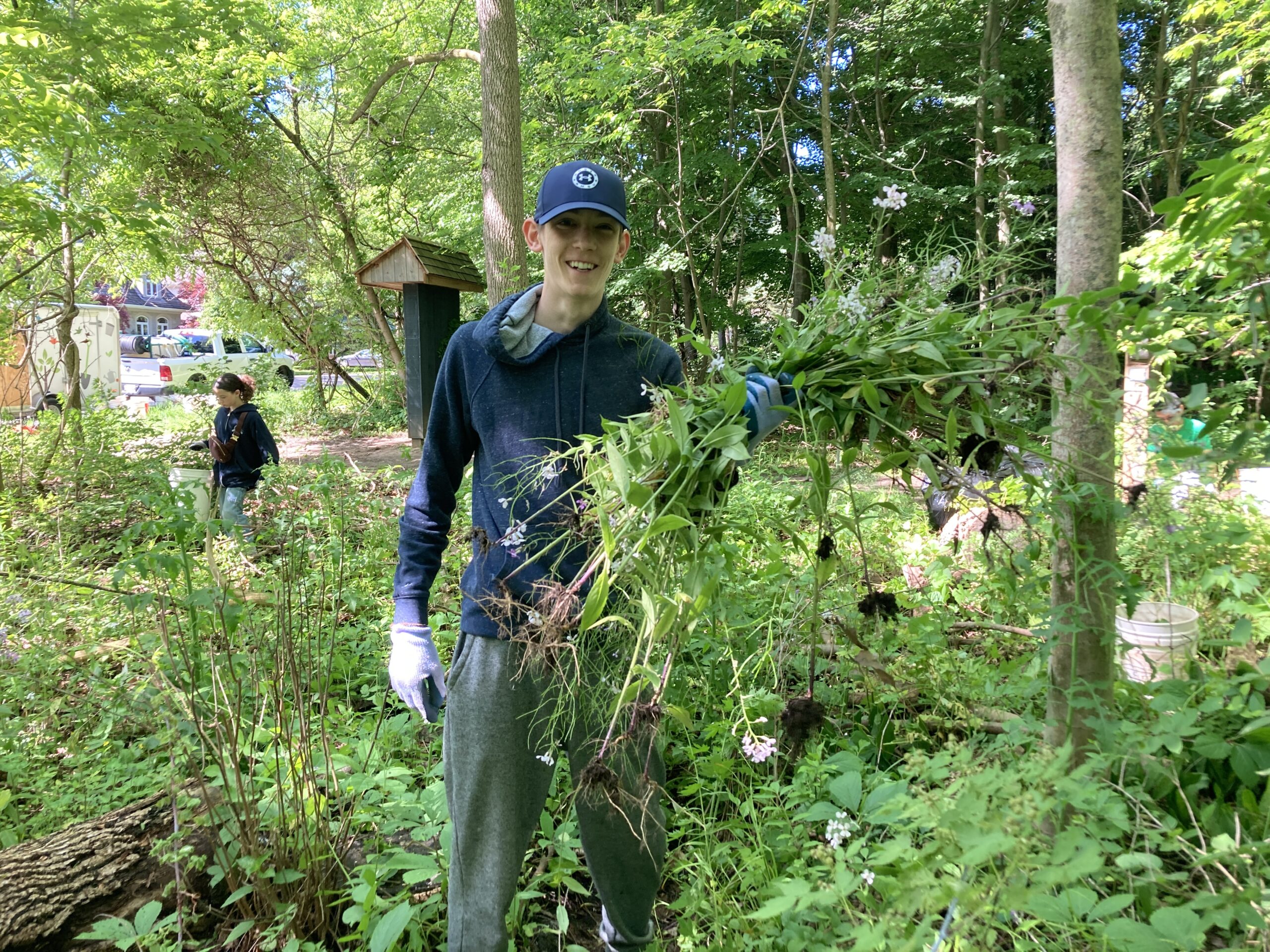 med_Mississauga_RattrayMarsh_RattrayMarshUprootUpriseInvasiveSpeciesPull_20240608-9-scaled