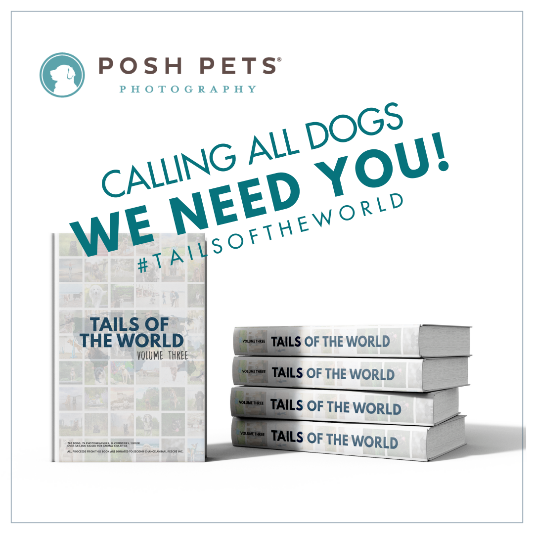 2024 Tails of the World – Promo Templates copy