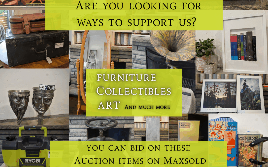 Frog in Hand Online Auction Now Live! Support our Summer Season!