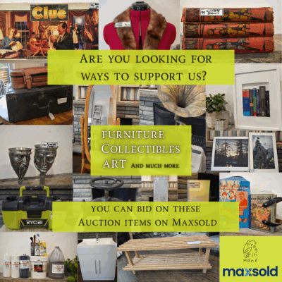 Frog in Hand Online Auction Now Live! Support our Summer Season!