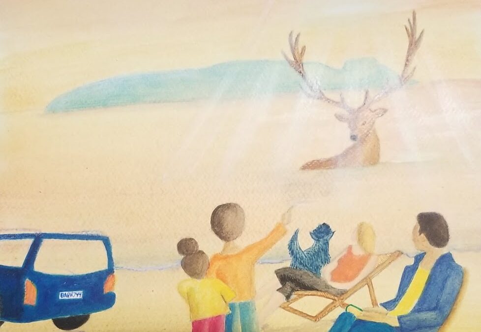 Are we turning our promises and hopes into plans?