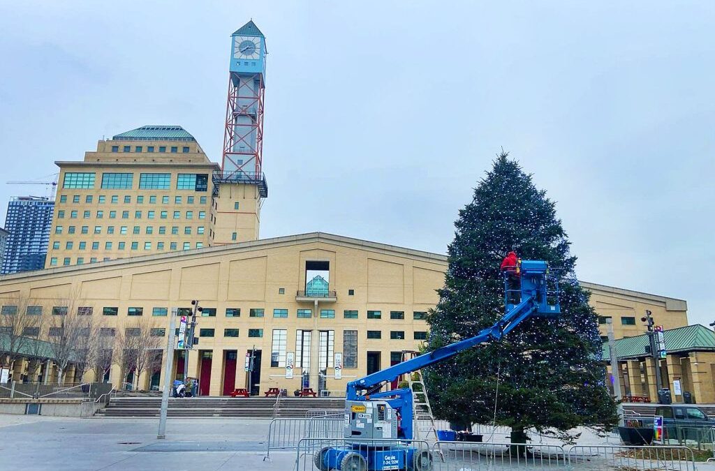 insauga: Christmas tree arrives for light up and rink opening event in Mississauga