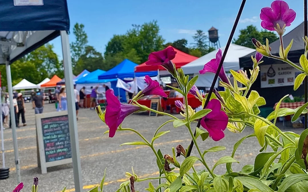 Mississauga News: Mississauga’s Lakeview Farmers Market now open Sundays for the season