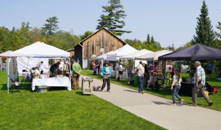 Call for Artist Vendors: Art in the Park 2025!