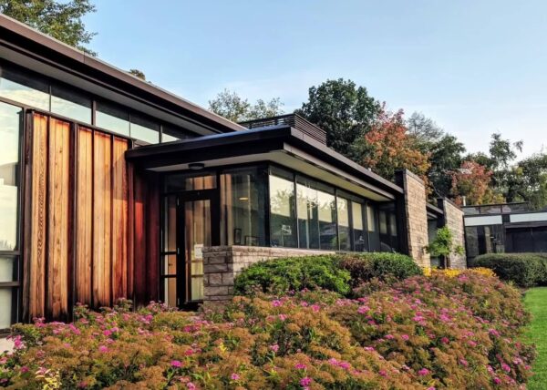 Visual Arts Mississauga