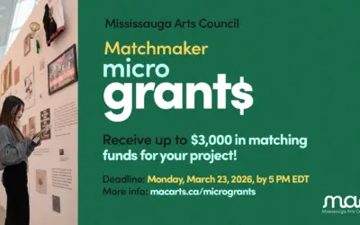 Winter 2026 Matchmaker MicroGrants Now Open – Mississauga Arts Council
