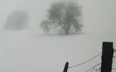 ecmunson Selected for International Exhibition, Analog – Made by Hand